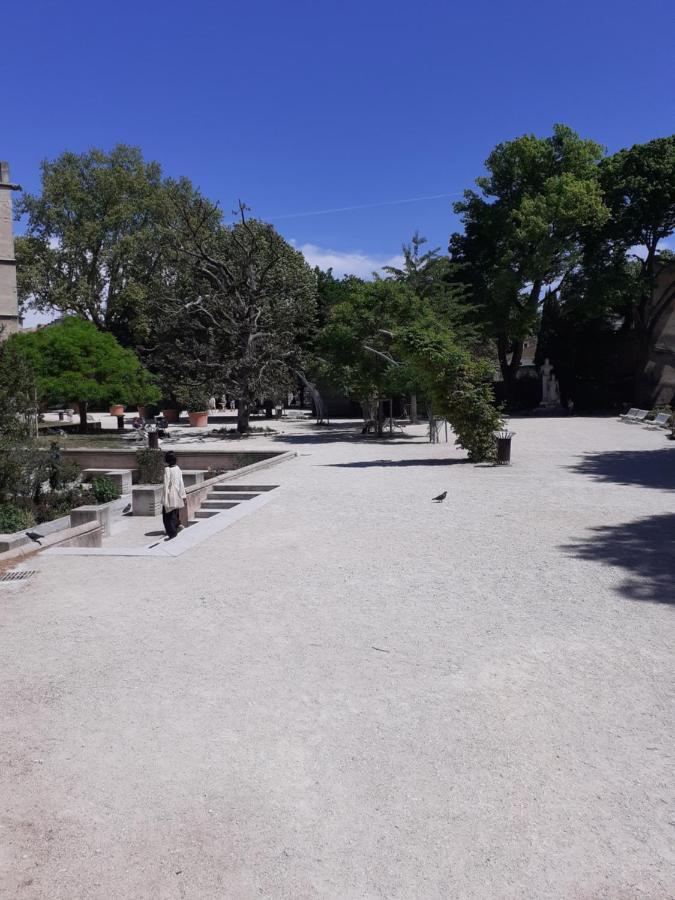 Studio Intra-Muros 5Mn Gare Centre Apartment Avignon Luaran gambar